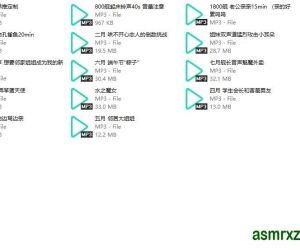 中文音声_B站希丝奈cisne2024年舰长音声小合集14部